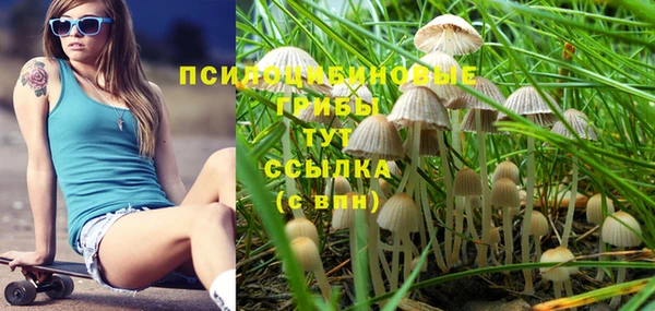 прущие крисы Касимов