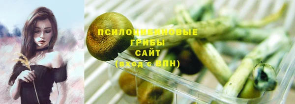 ГАЛЛЮЦИНОГЕННЫЕ ГРИБЫ Карпинск