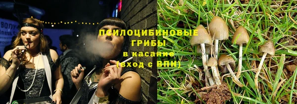 стафф Кинешма