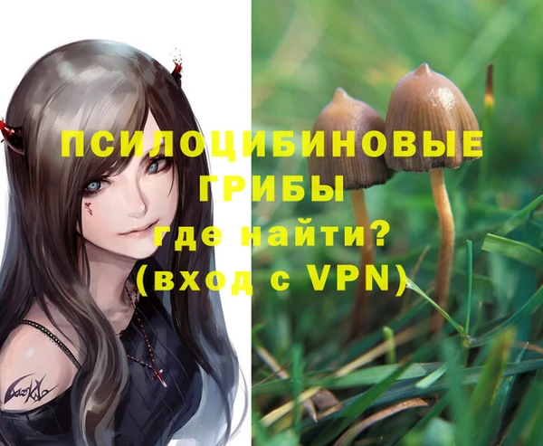 прущие крисы Касимов