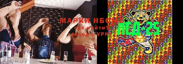 ГАЛЛЮЦИНОГЕННЫЕ ГРИБЫ Карпинск