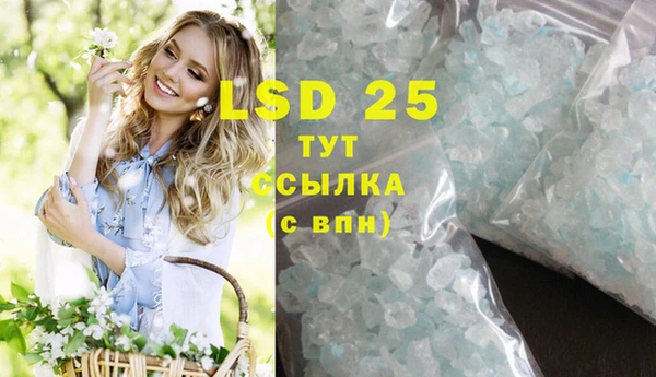 ГАЛЛЮЦИНОГЕННЫЕ ГРИБЫ Карпинск